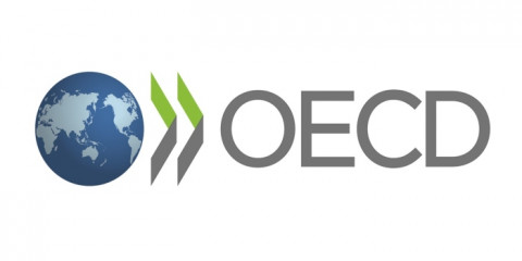 OECD Logo